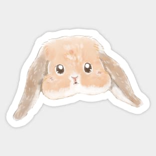 Bailey Holland Lop Cream Fawn Orange Rabbit Head Sticker